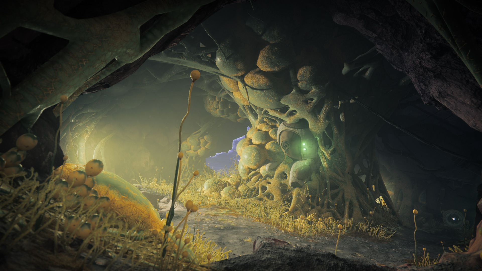 Destiny 2: Year of Prophecy Ultimate Edition DLC XBOX One / Xbox Series X|S CD Key