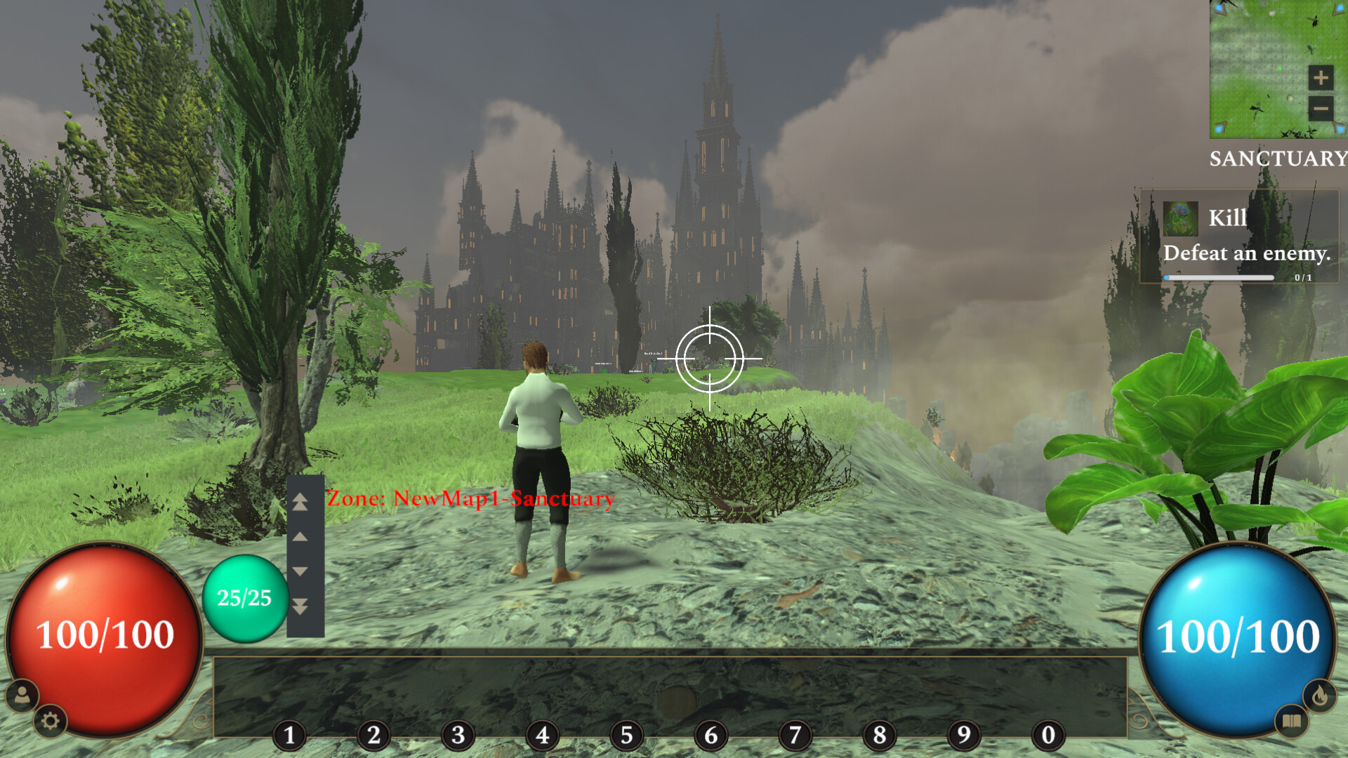 Floral Fury Online PC Steam Klucz cyfrowy