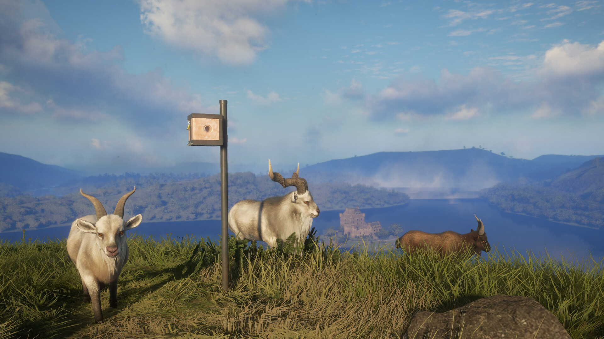 theHunter: Call of the Wild - Game Feeder Pack 2 DLC PC Steam CD Key
