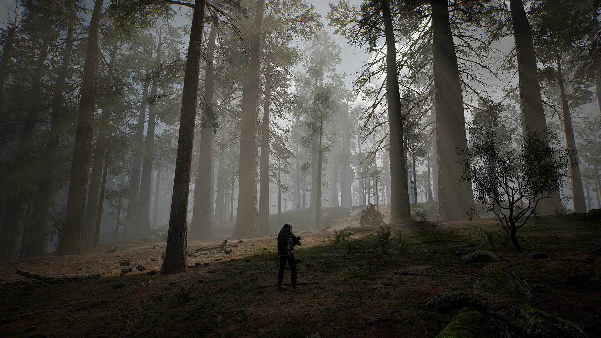 LIFE EFFECT Survival PC Steam CD Key