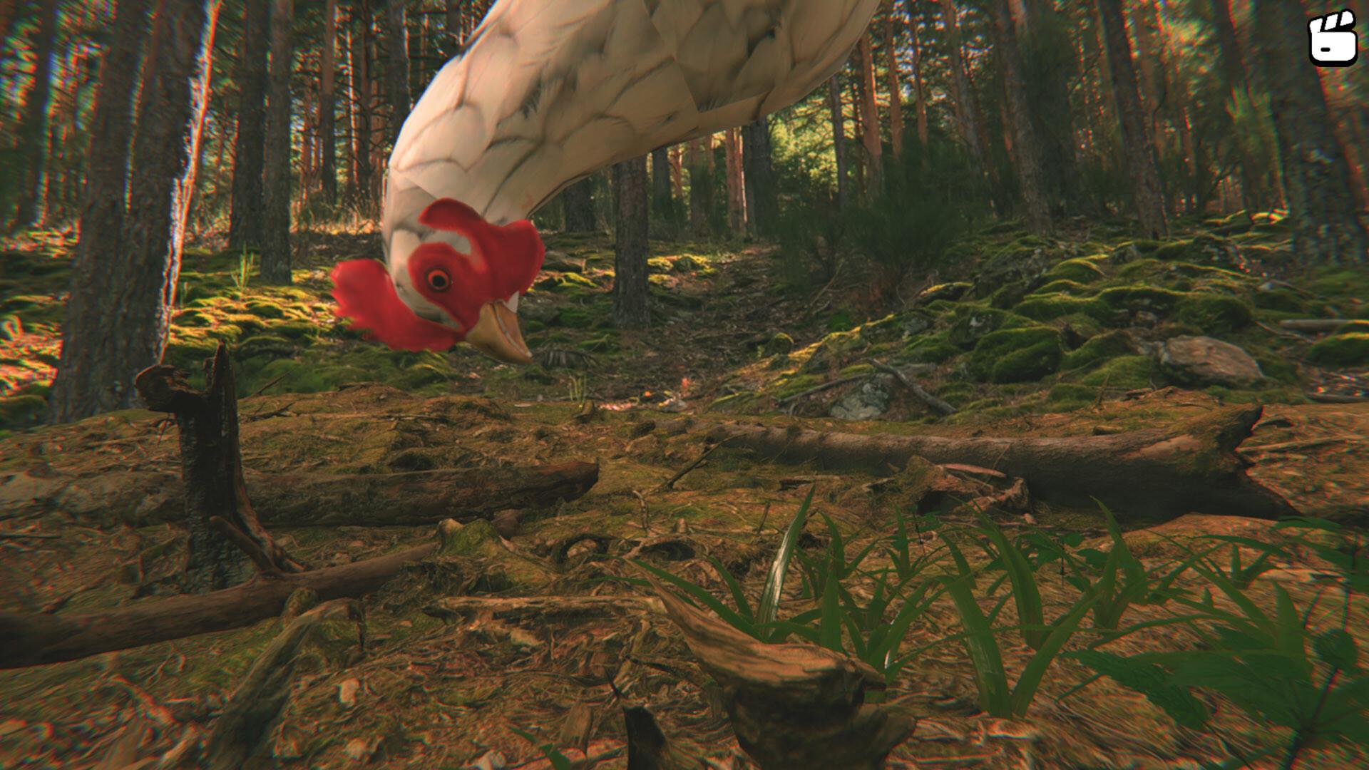 Catch the Chiken PC Steam CD Key