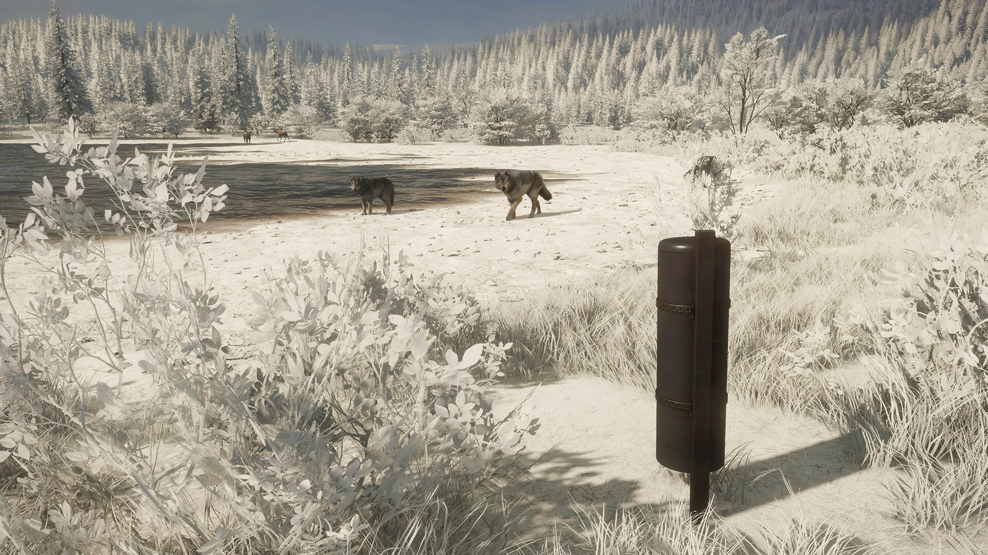 theHunter: Call of the Wild - Game Feeder Pack 2 DLC PC Steam CD Key