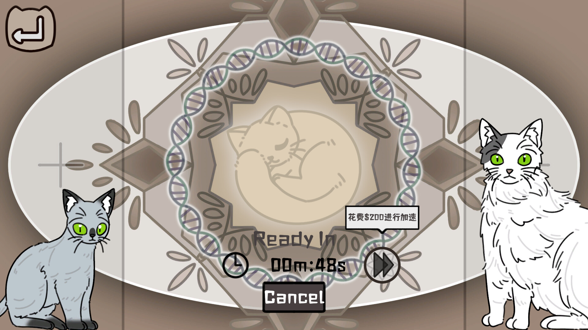 Cat Familiar Center PC Steam CD Key