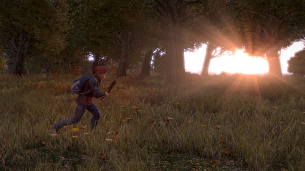 DayZ PC Steam CD Key