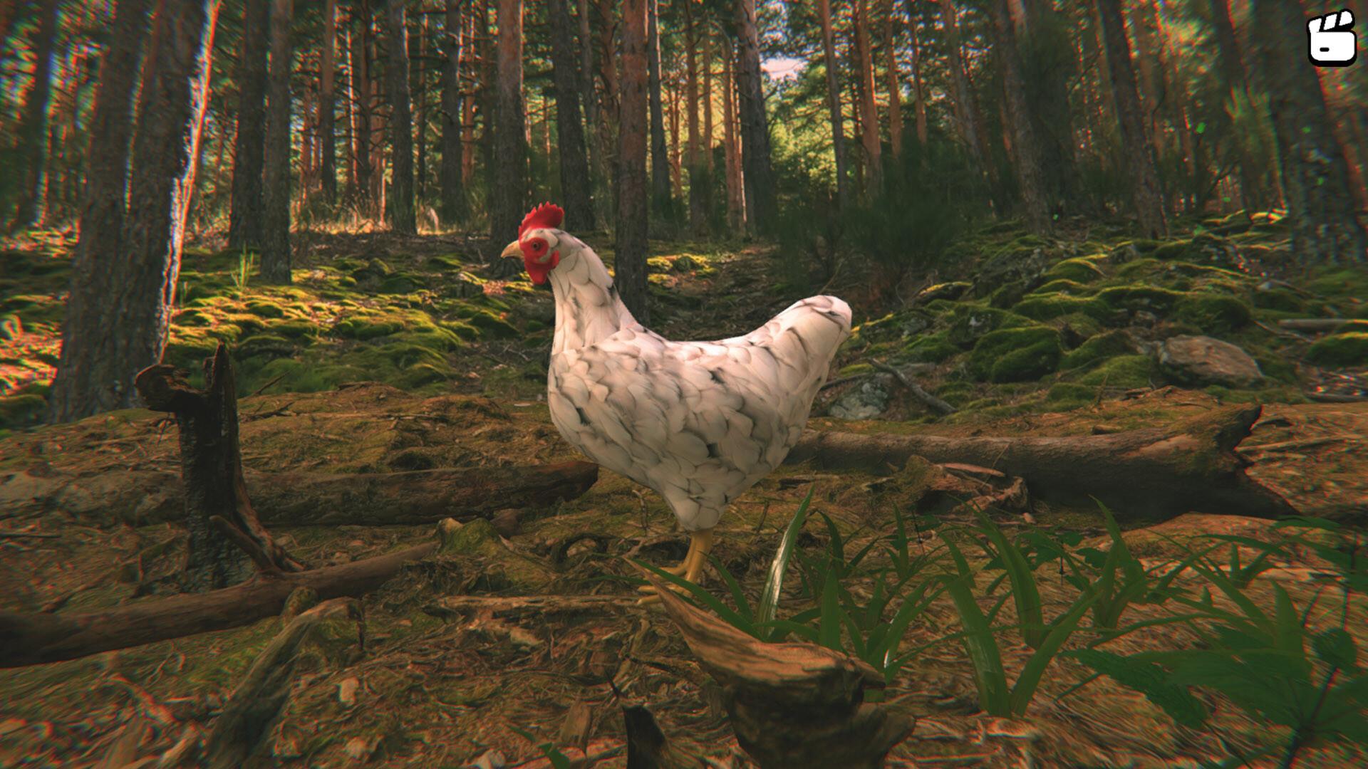 Catch the Chiken PC Steam CD Key