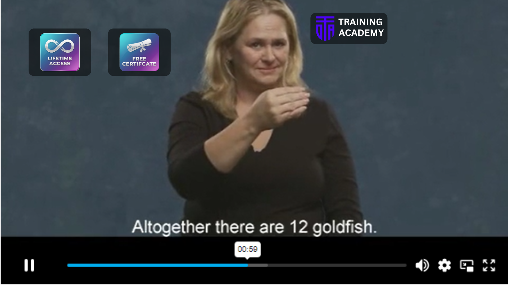 American Sign Language Course Online Training Academy