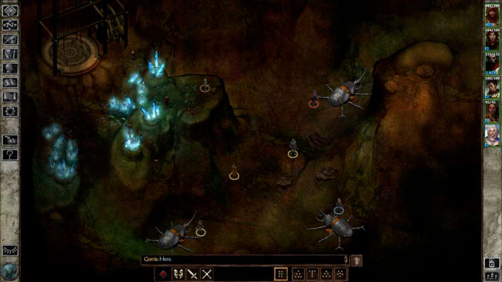 Icewind Dale: Enhanced Edition PC Steam CD Key (valid until March 2027)