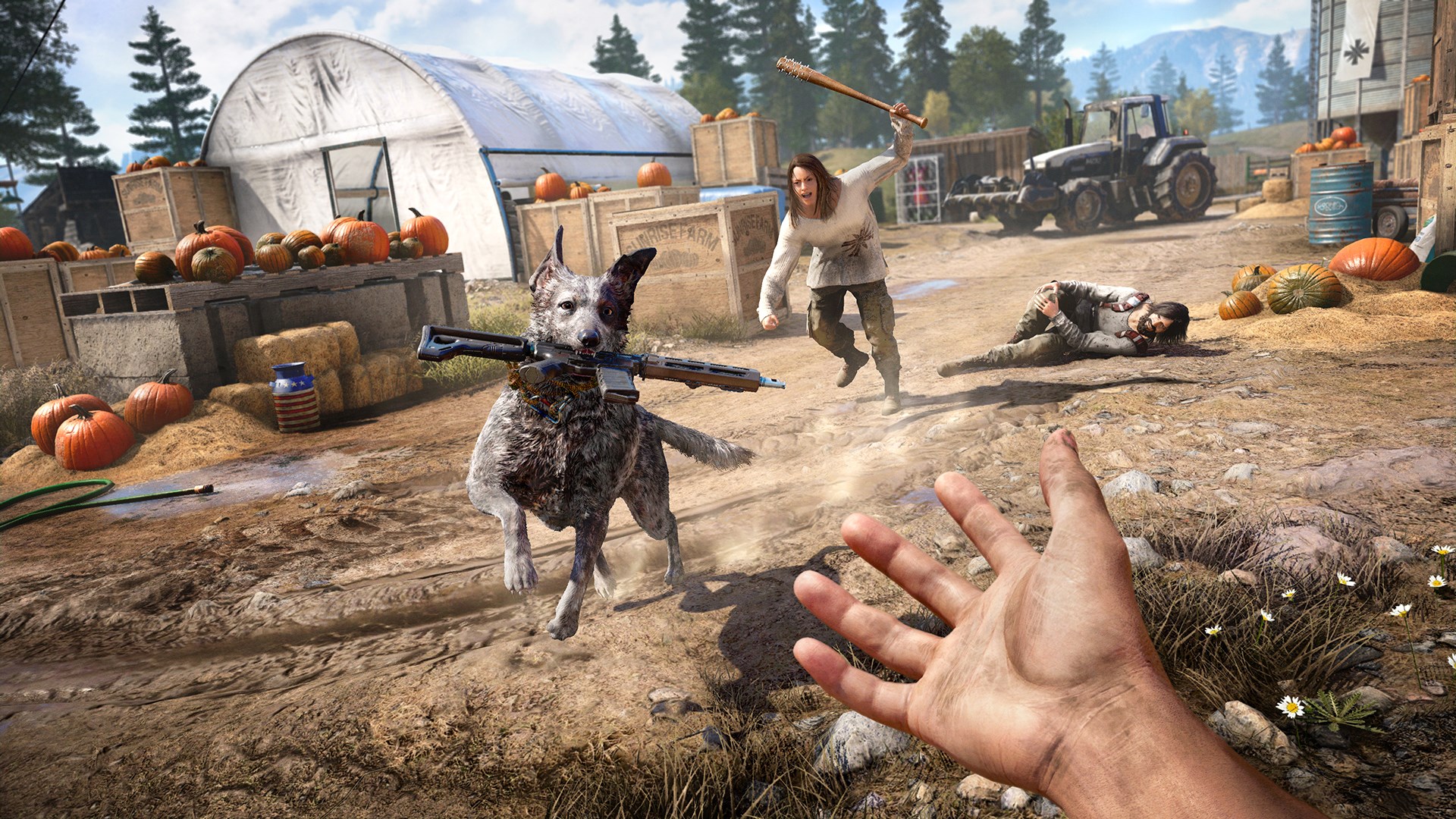 Far Cry Insanity Bundle PS4/PS5 Account