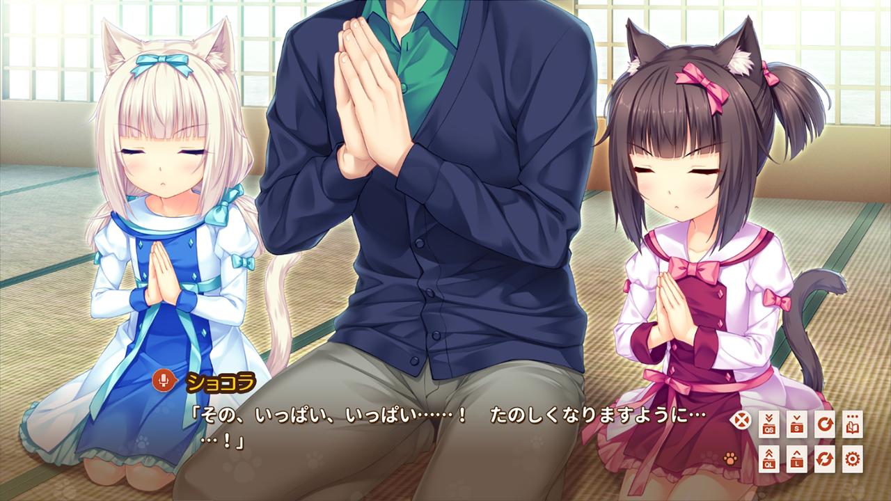 NEKOPARA Extra PC Steam CD Key