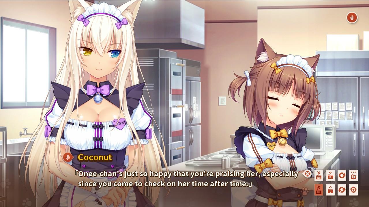 NEKOPARA Vol. 3 PC Steam CD Key
