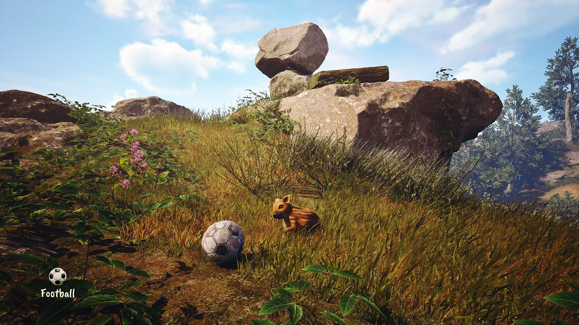 Adorable Adventures PC Steam CD Key