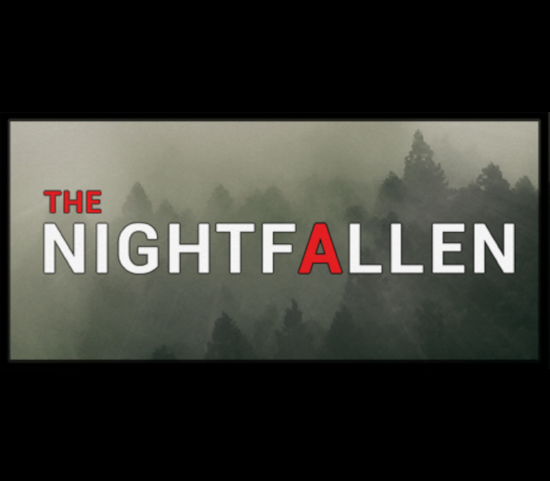 NIGHT FALLEN PC Steam CD Key