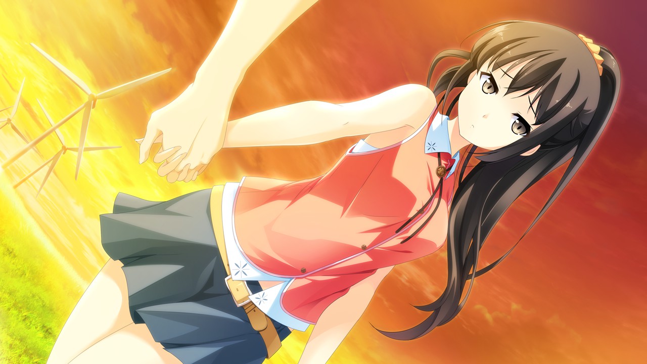 If My Heart Had Wings -Flight Diary- - New Wings: Akari DLC PC Steam CD Key (valid until February 2027)