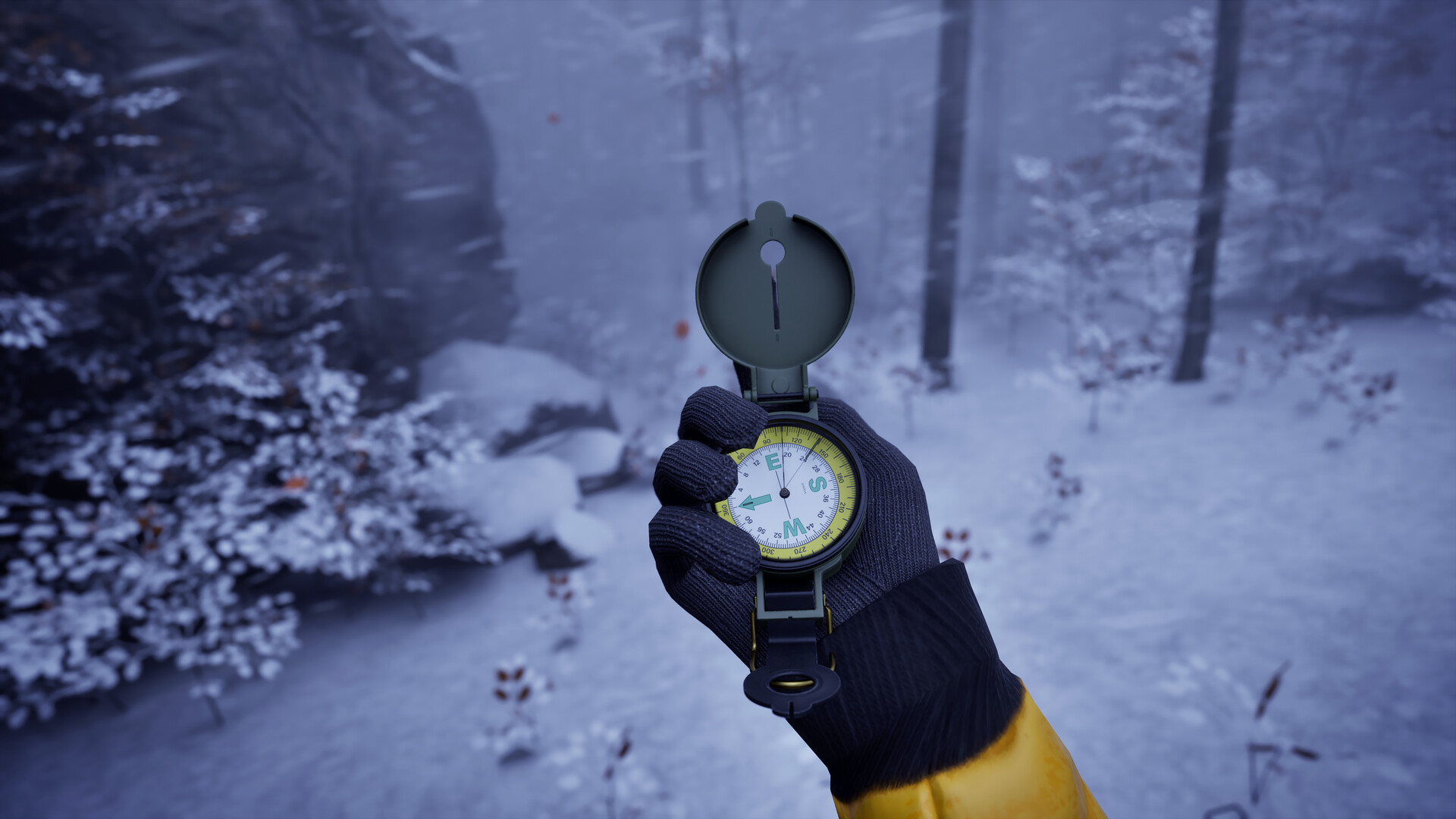 Prologue: Go Wayback! PC Epic Games Account