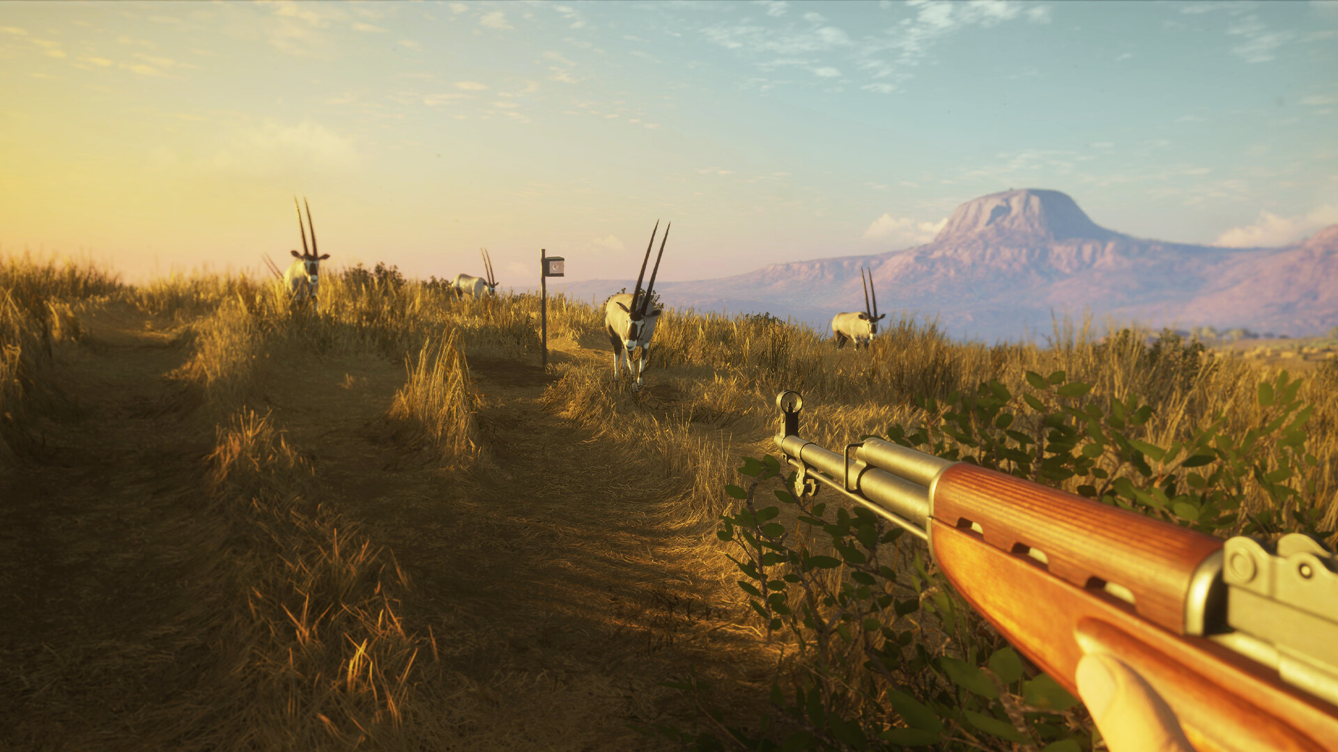 theHunter: Call of the Wild - Game Feeder Pack 2 DLC PC Steam CD Key