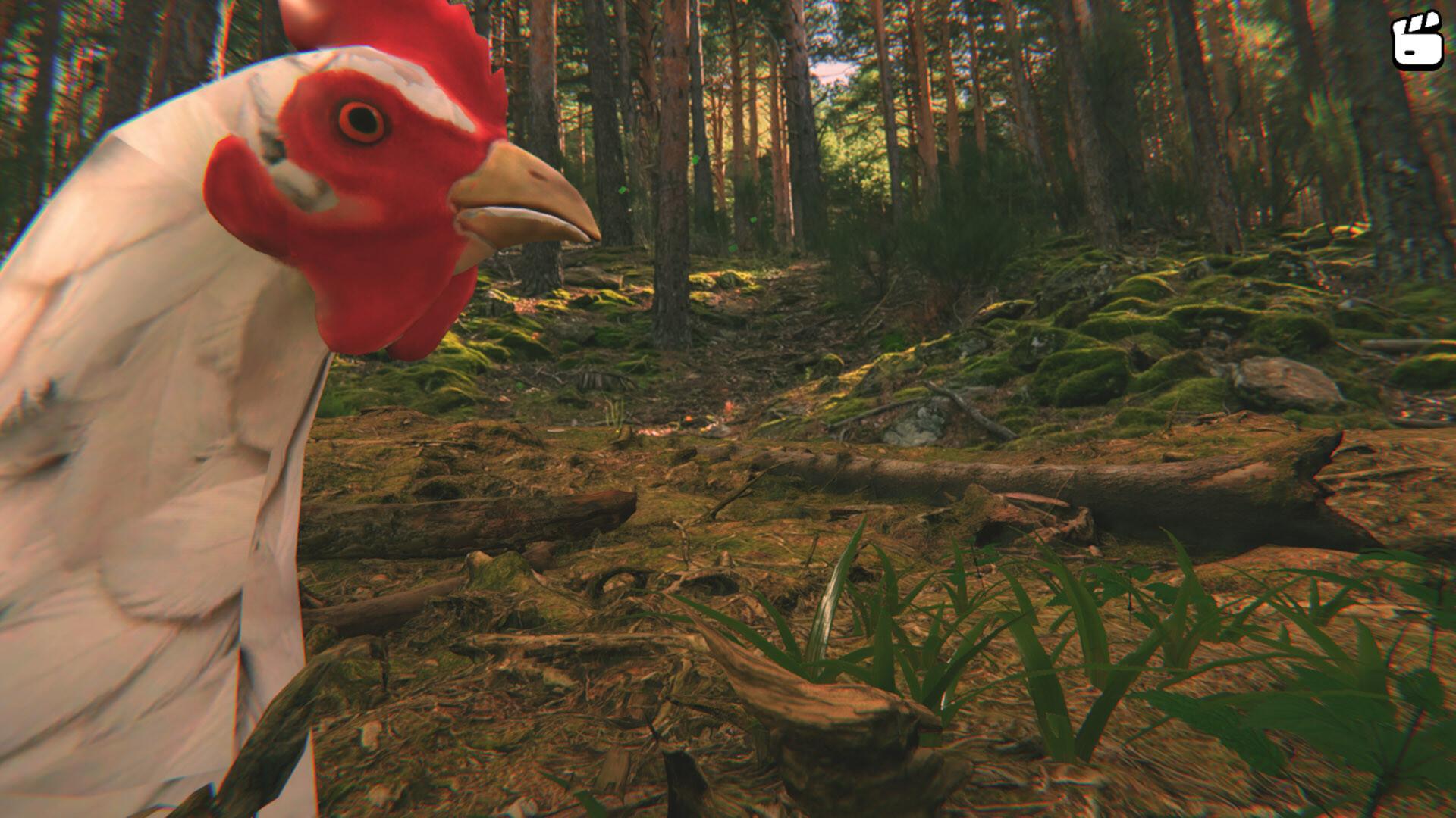 Catch the Chiken PC Steam CD Key