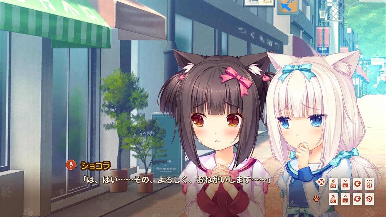 NEKOPARA Extra PC Steam CD Key (valid until April 2027)