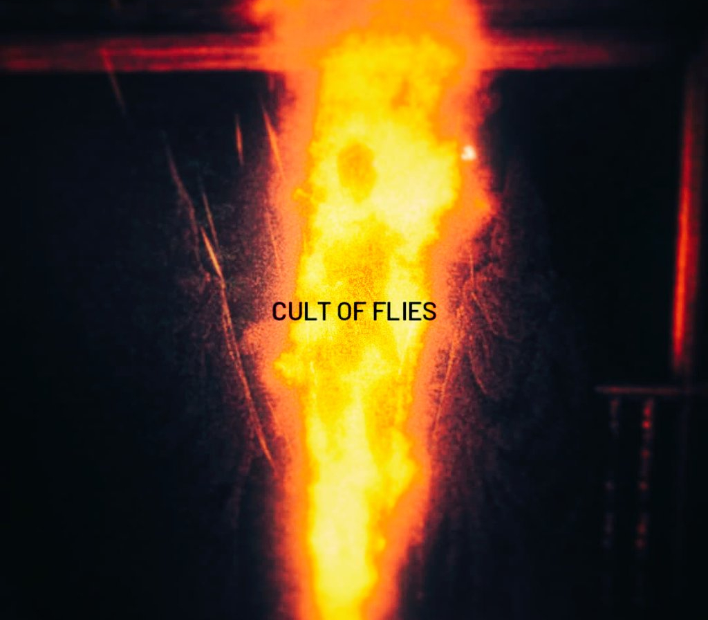 CULT OF FLIES PC Steam Klucz cyfrowy