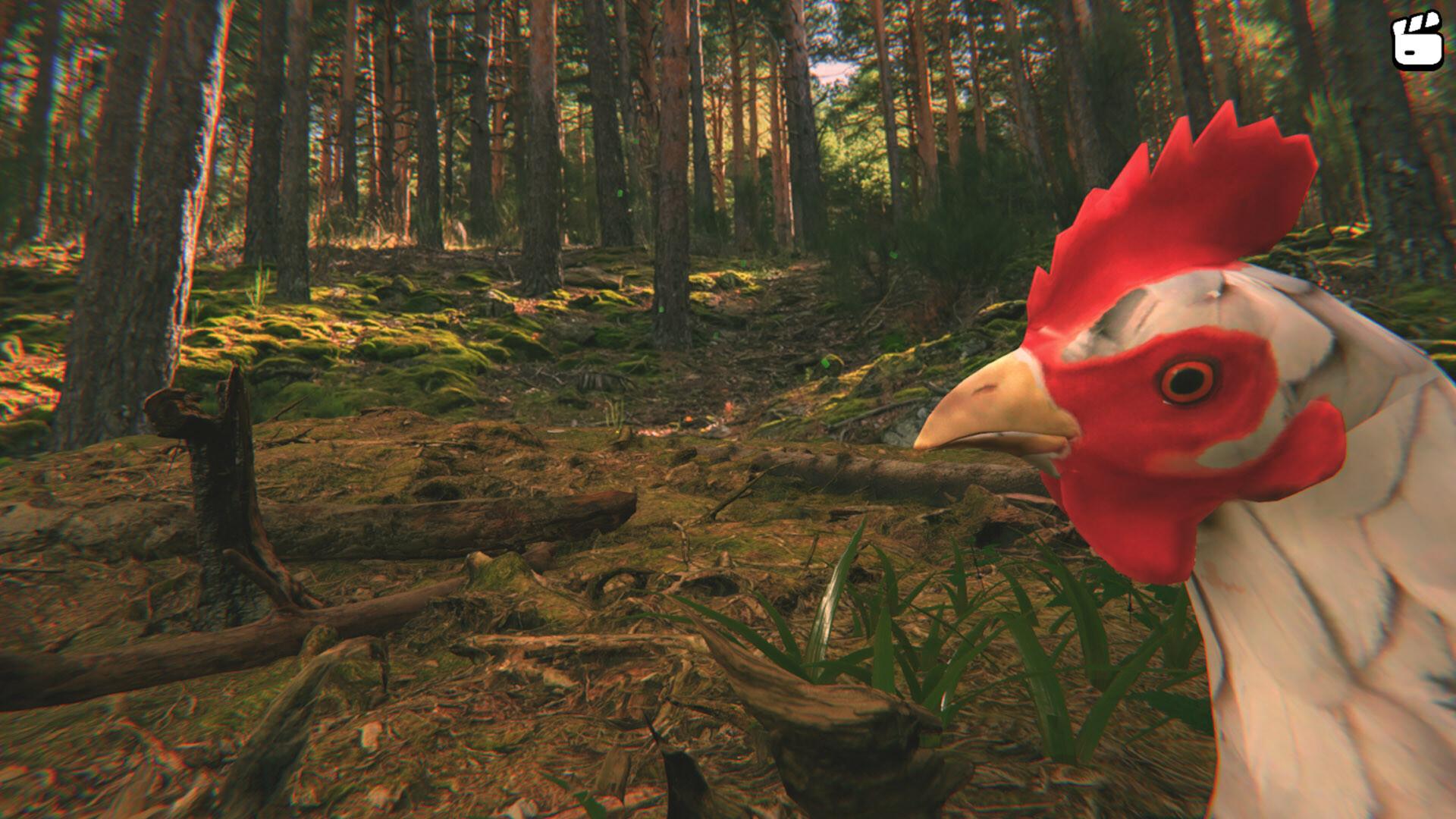 Catch the Chiken PC Steam CD Key