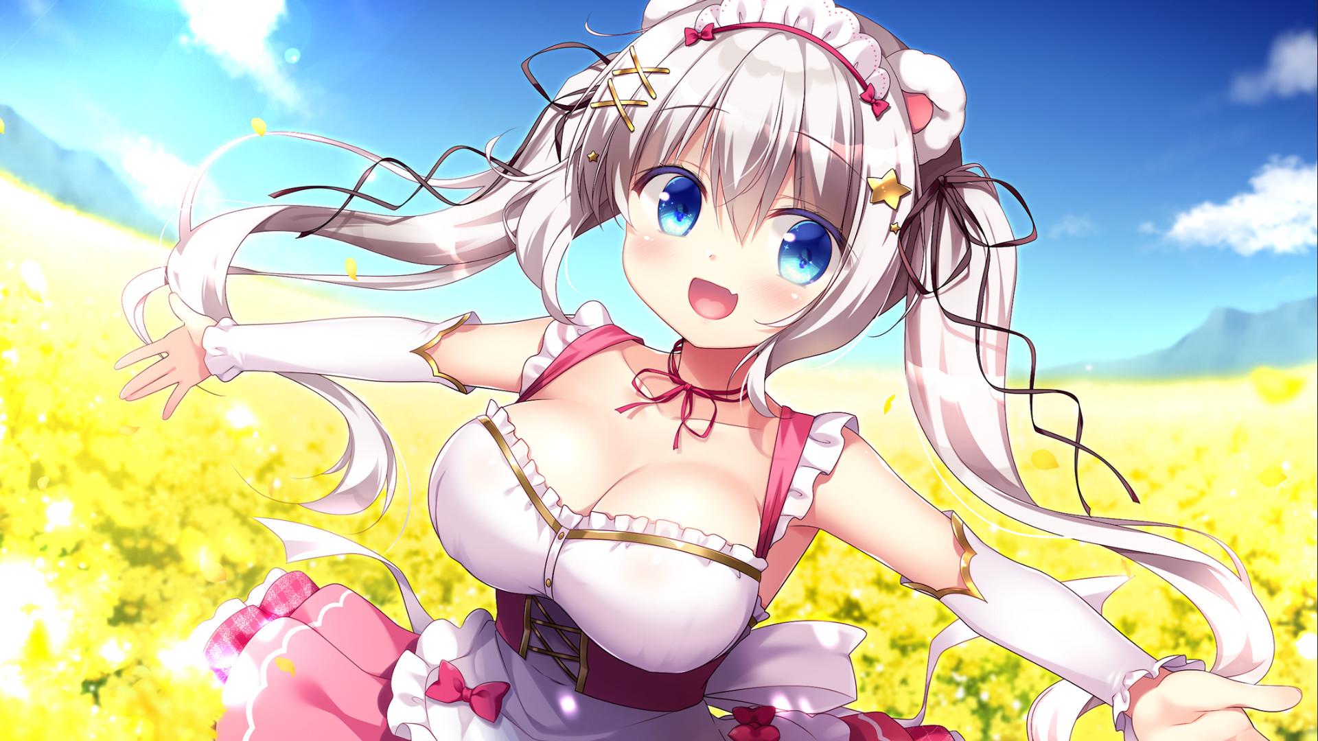 Island Diary PC Steam CD Key (valid until April 2027)
