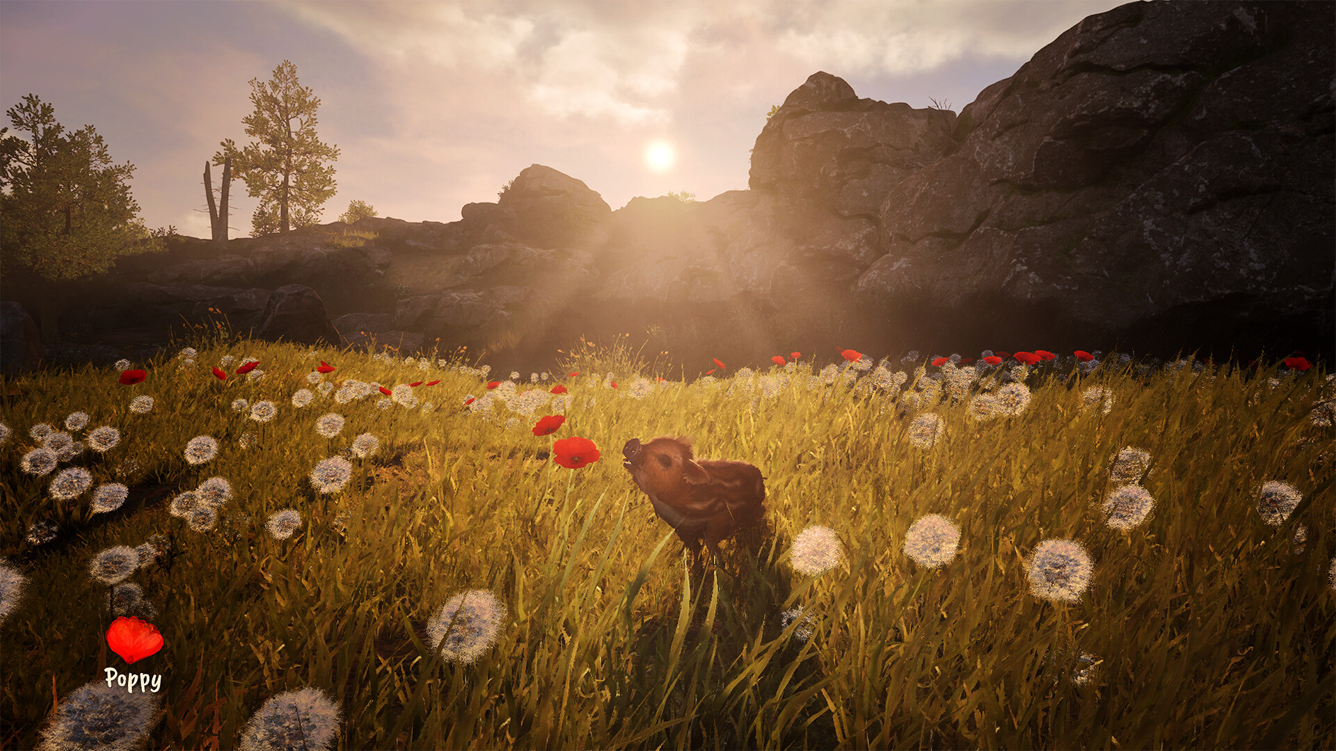 Adorable Adventures PC Steam CD Key