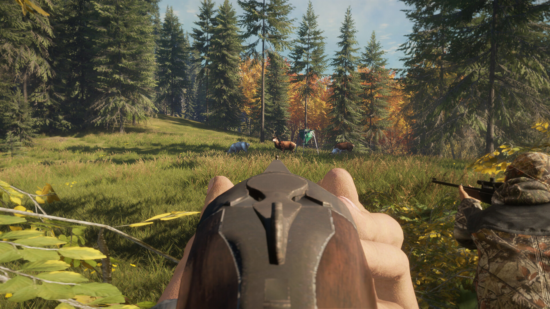 theHunter: Call of the Wild - Game Feeder Pack DLC PC Steam Klucz cyfrowy