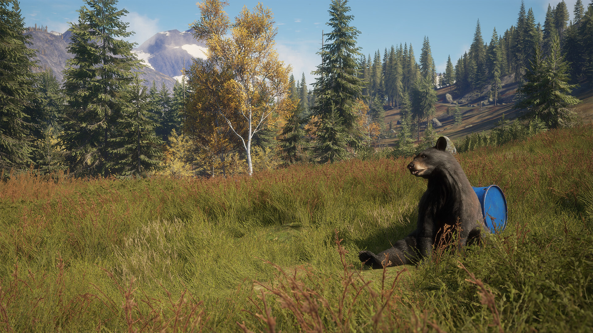 theHunter: Call of the Wild - Game Feeder Pack DLC PC Steam Klucz cyfrowy
