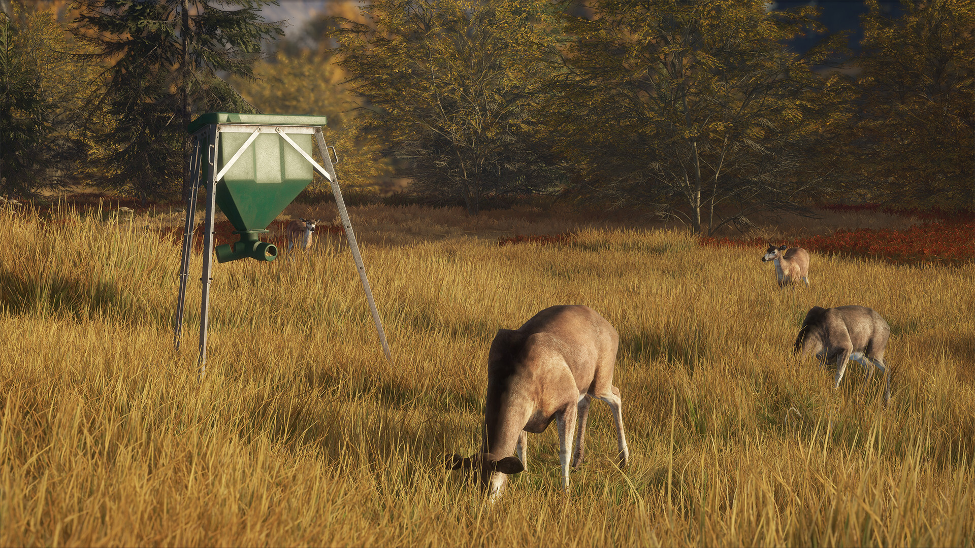 theHunter: Call of the Wild - Game Feeder Pack DLC PC Steam Klucz cyfrowy