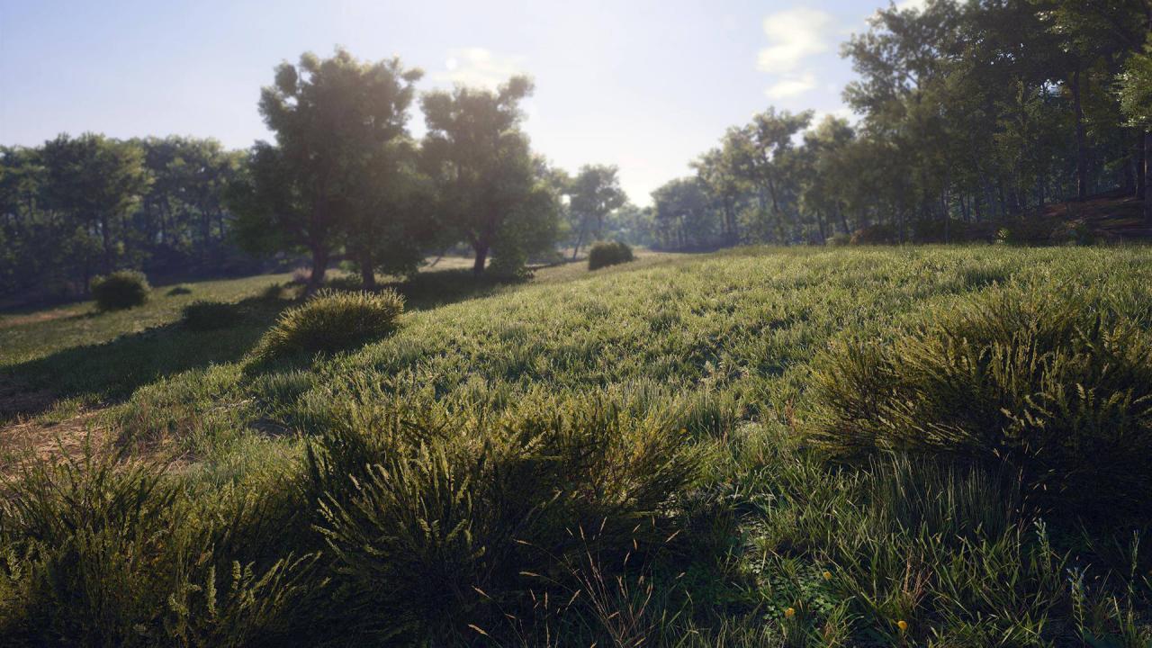 SCUM EU Steam CD Key