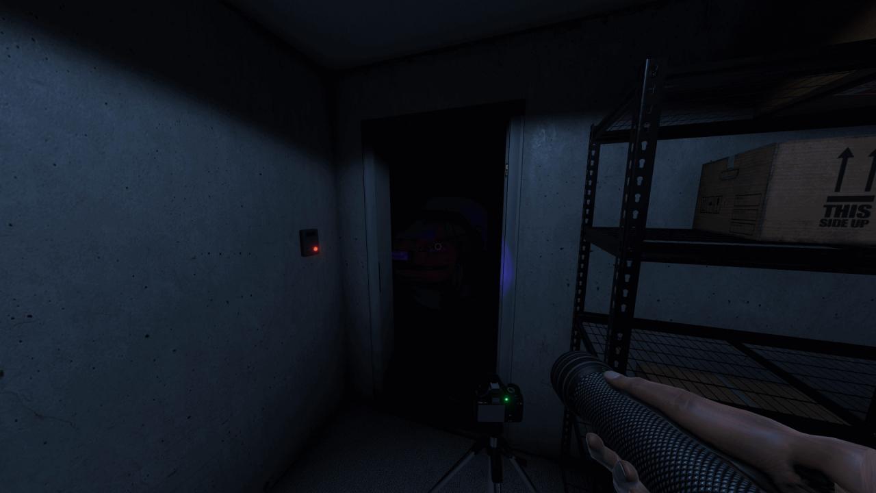 Phasmophobia PS5 Account