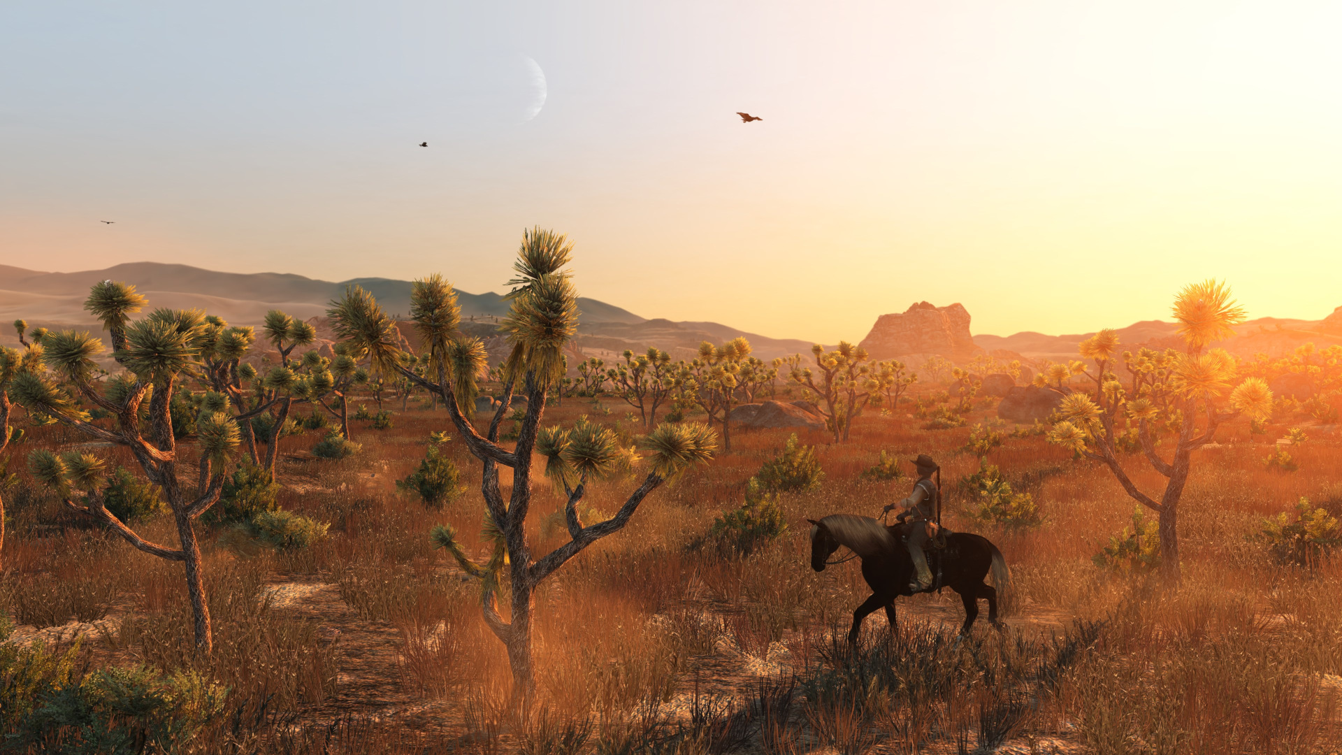 Red Dead Redemption EU PC Windows CD Key