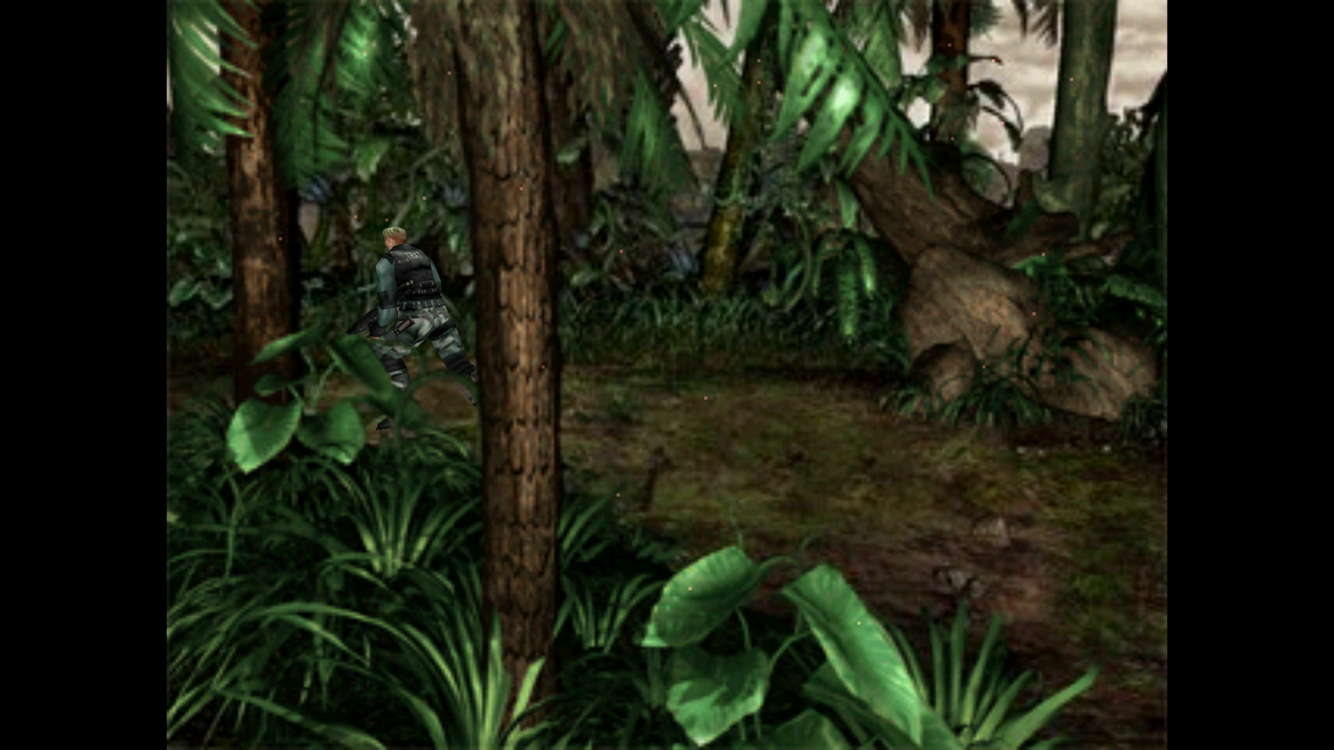 Dino Crisis 2 PC GOG CD Key