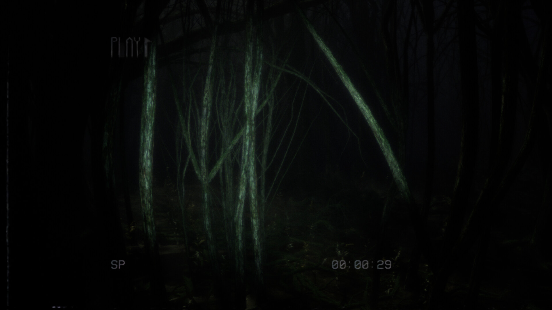 Backrooms Media PC Steam Account