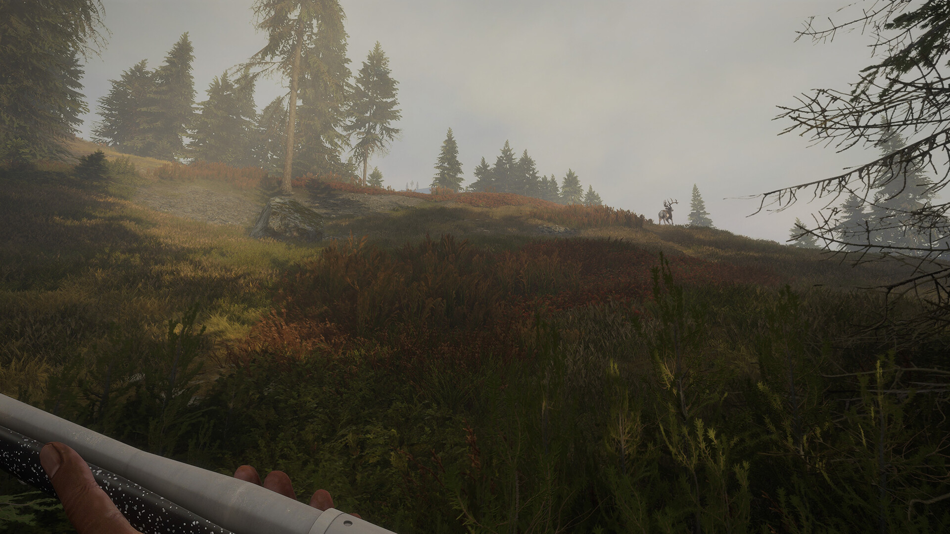 theHunter: Call of the Wild - Hunter Power Pack DLC PC Steam CD Key