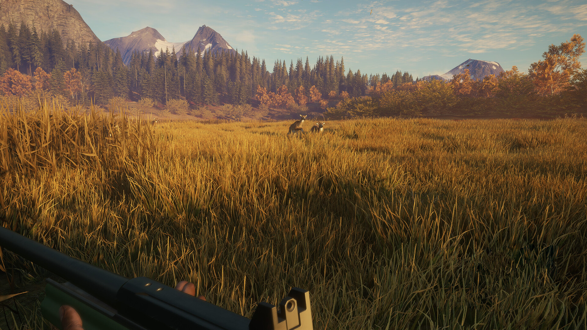 theHunter: Call of the Wild - Hunter Power Pack DLC PC Steam CD Key