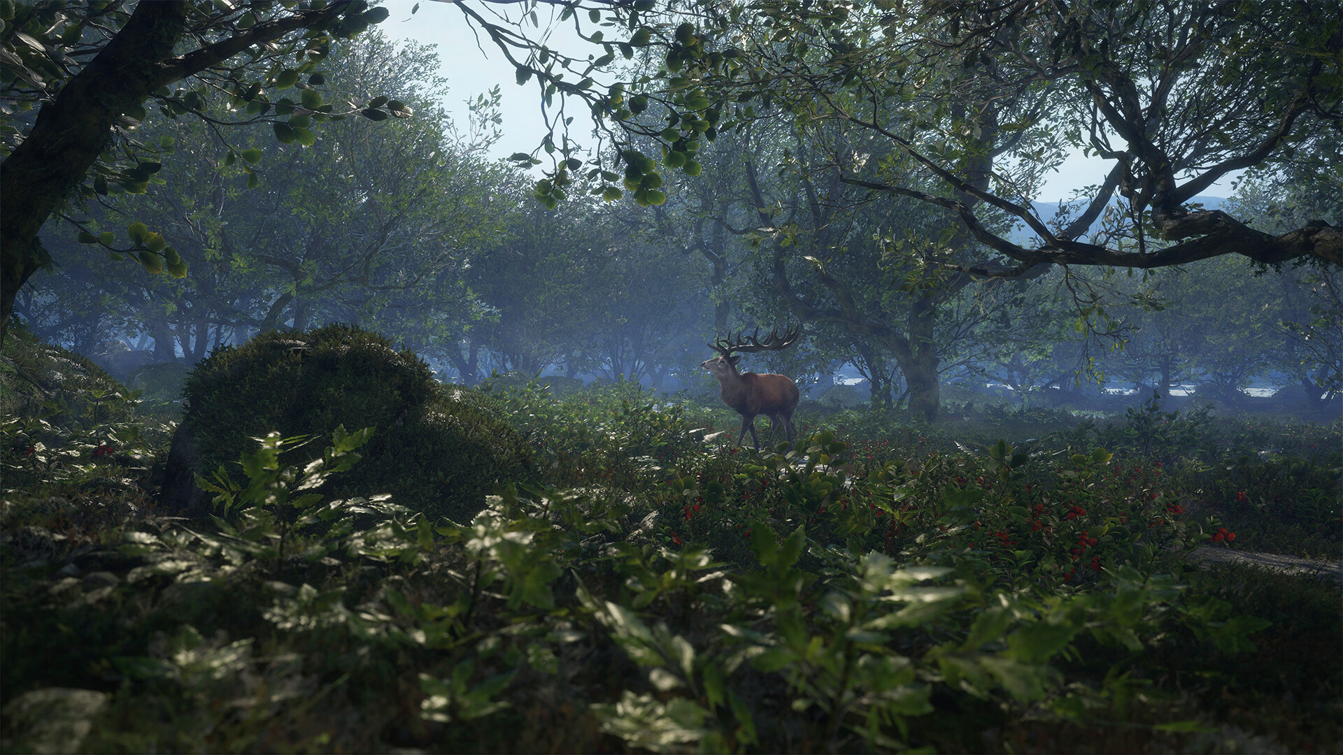 theHunter: Call of the Wild - Scotland Hunting Reserve DLC PC Steam CD Key