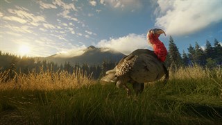 theHunter: Call of the Wild - Hunting Pro Bundle PC Steam CD Key
