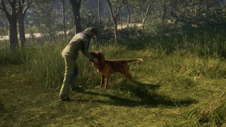 theHunter: Call of the Wild - Hunting Pro Bundle PC Steam CD Key