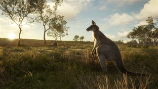 theHunter: Call of the Wild - Hunting Pro Bundle PC Steam CD Key