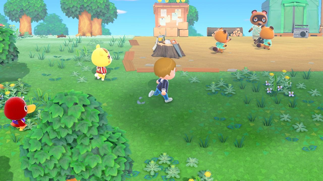 Animal Crossing: New Horizons Nintendo Switch 2 Access