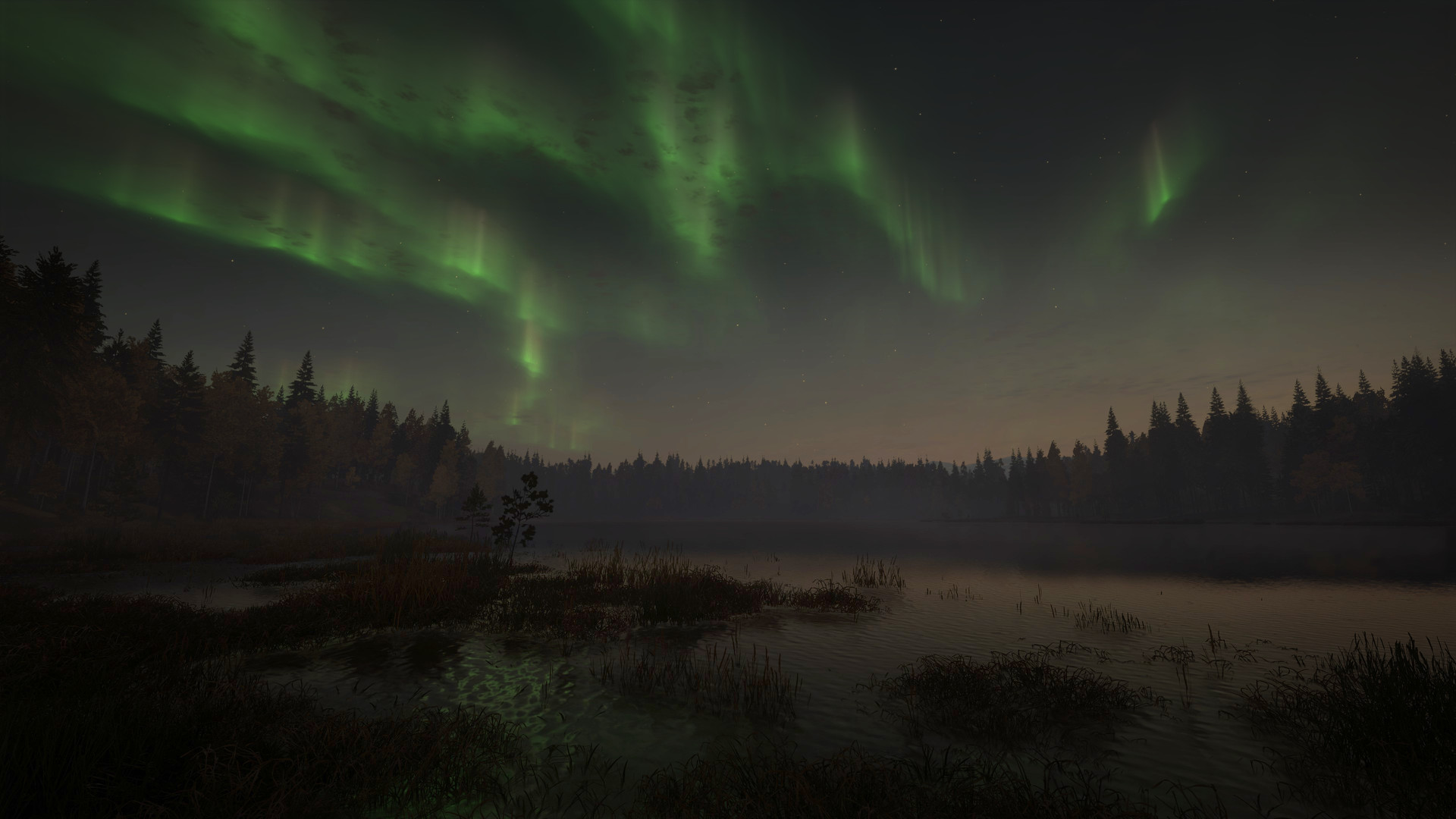 theHunter: Call of the Wild - Revontuli Coast DLC PC Steam CD Key (valid until March, 2027)