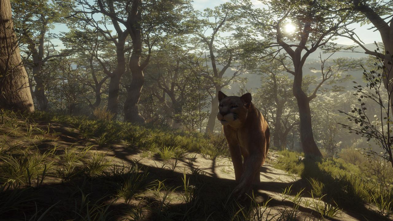 theHunter: Call of the Wild - Parque Fernando DLC PC Steam CD Key (valid until March, 2027)