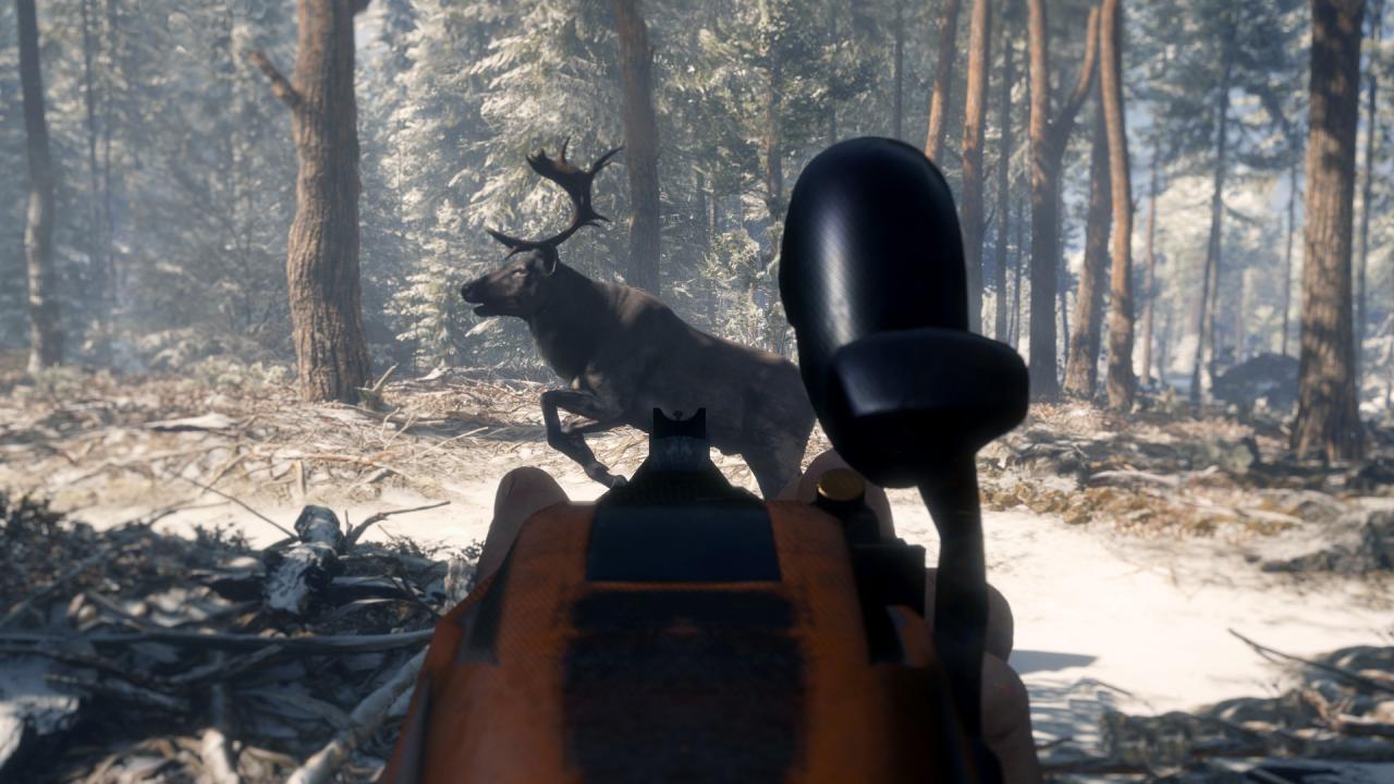 theHunter: Call of the Wild - Smoking Barrels Weapon Pack DLC PC Steam CD Key (valid until March, 2027)