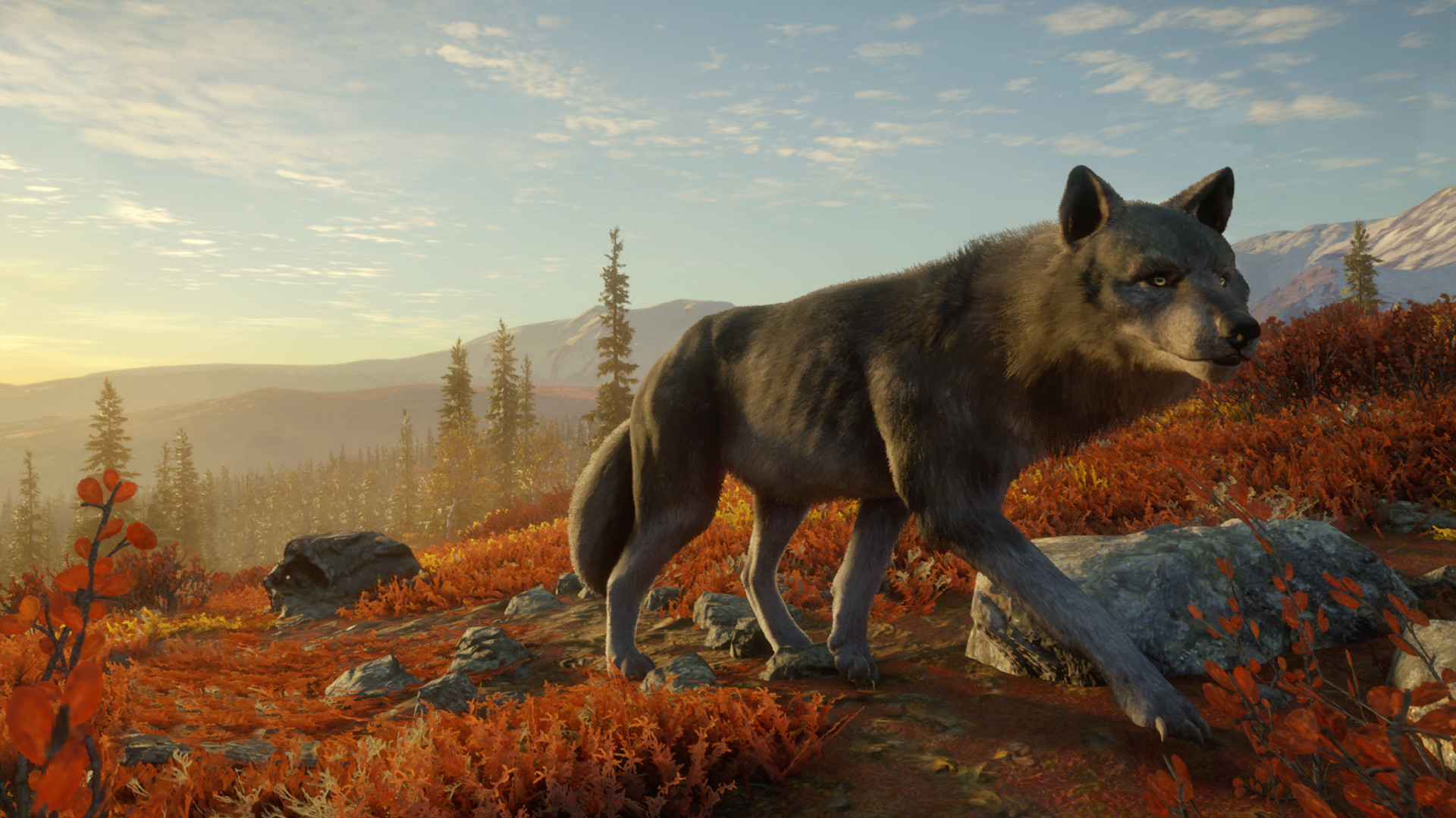 theHunter: Call of the Wild - Yukon Valley DLC PC Steam CD Key (valid until March, 2027)
