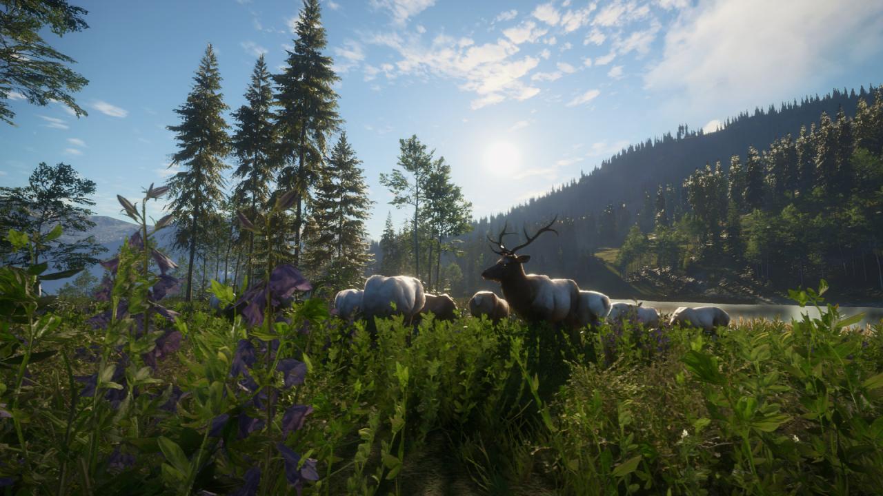 theHunter: Call of the Wild - Silver Ridge Peaks DLC PC Steam CD Key (valid until March, 2027)