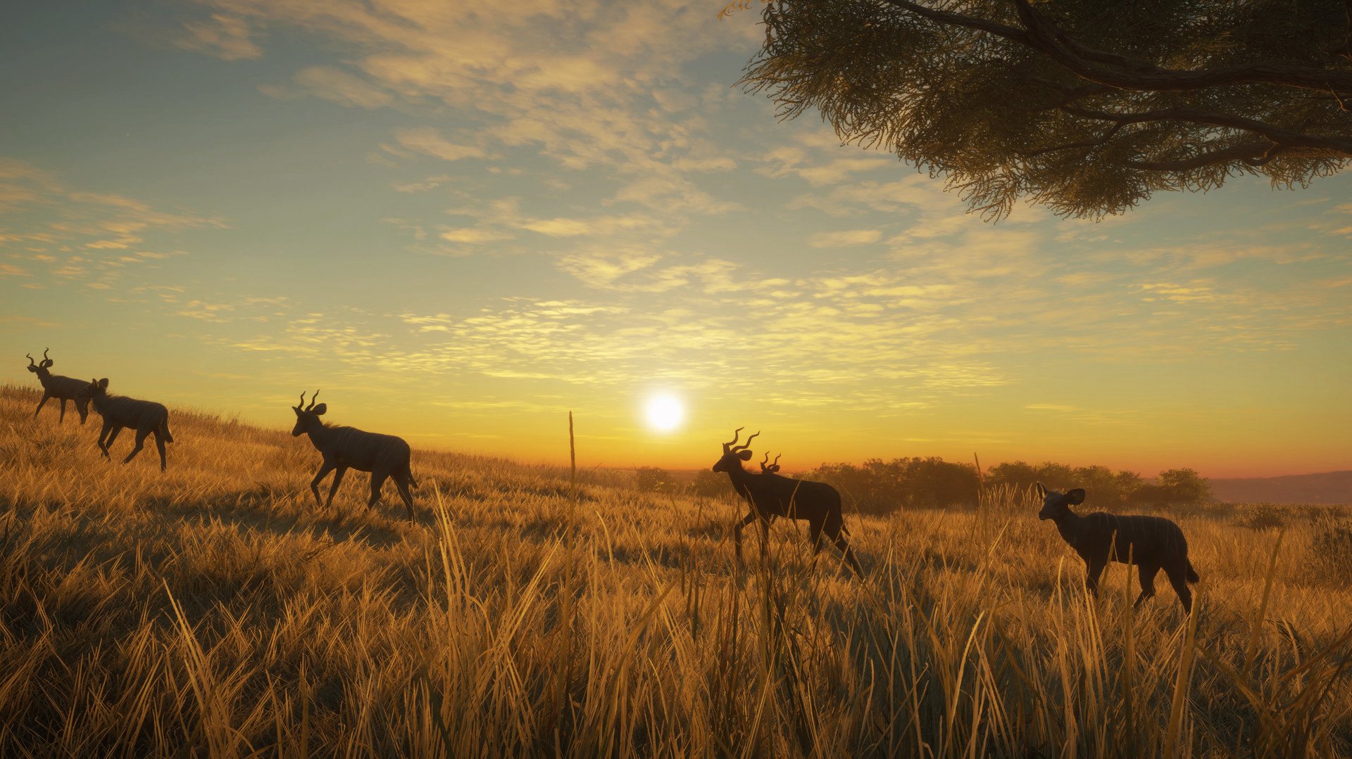 theHunter: Call of the Wild - Vurhonga Savanna DLC PC Steam CD Key (valid until March, 2027)