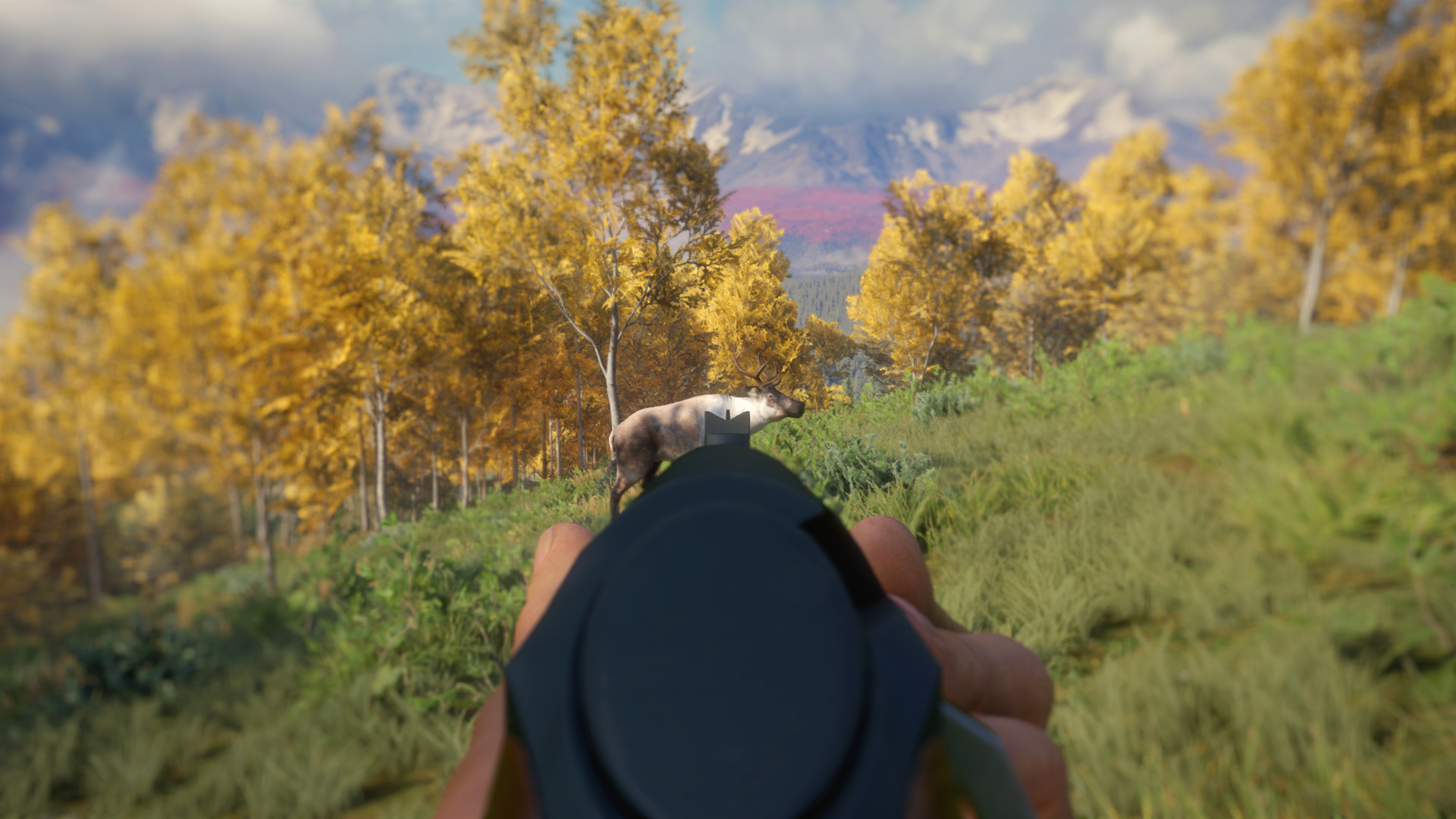 theHunter: Call of the Wild - Weapon Pack 3 DLC PC Steam CD Key (valid until March, 2027)