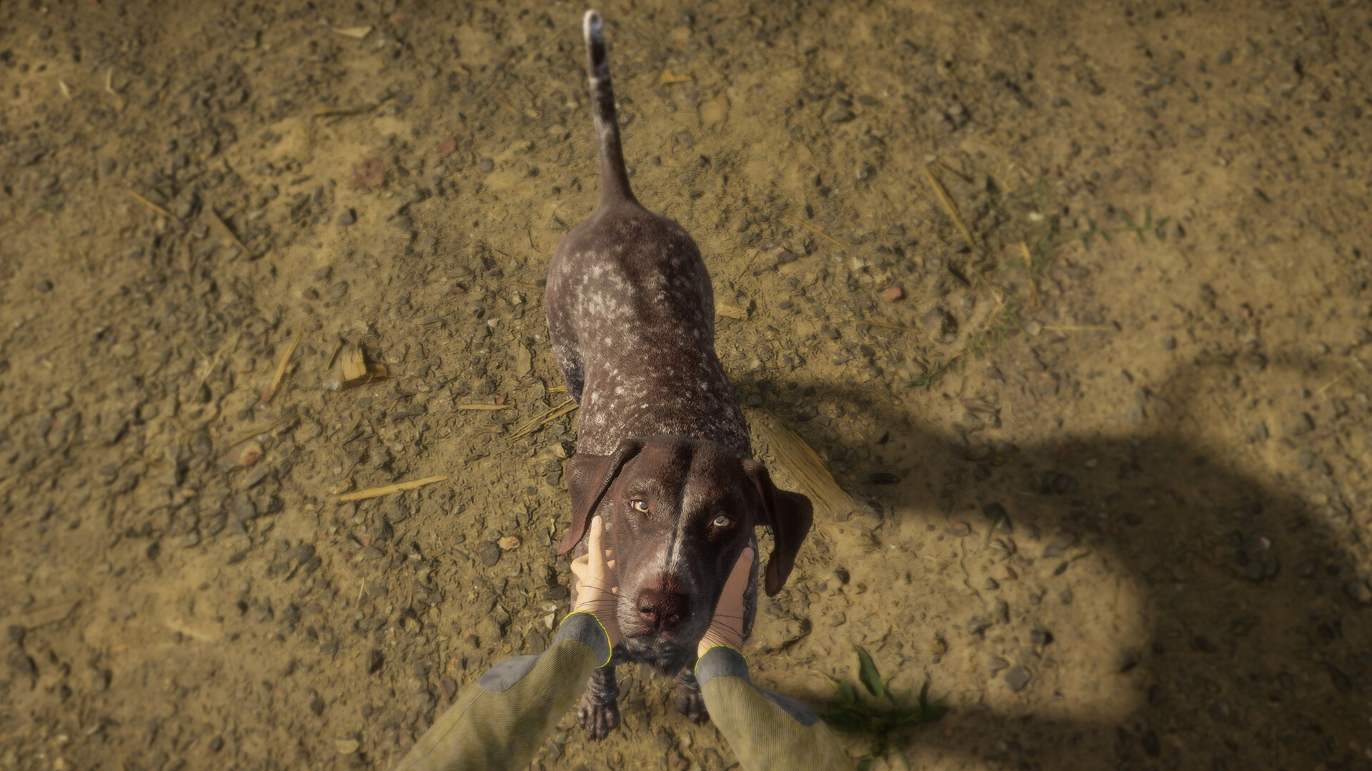 theHunter: Call of the Wild - German Shorthaired Pointer DLC PC Steam CD Key (valid until March, 2027)