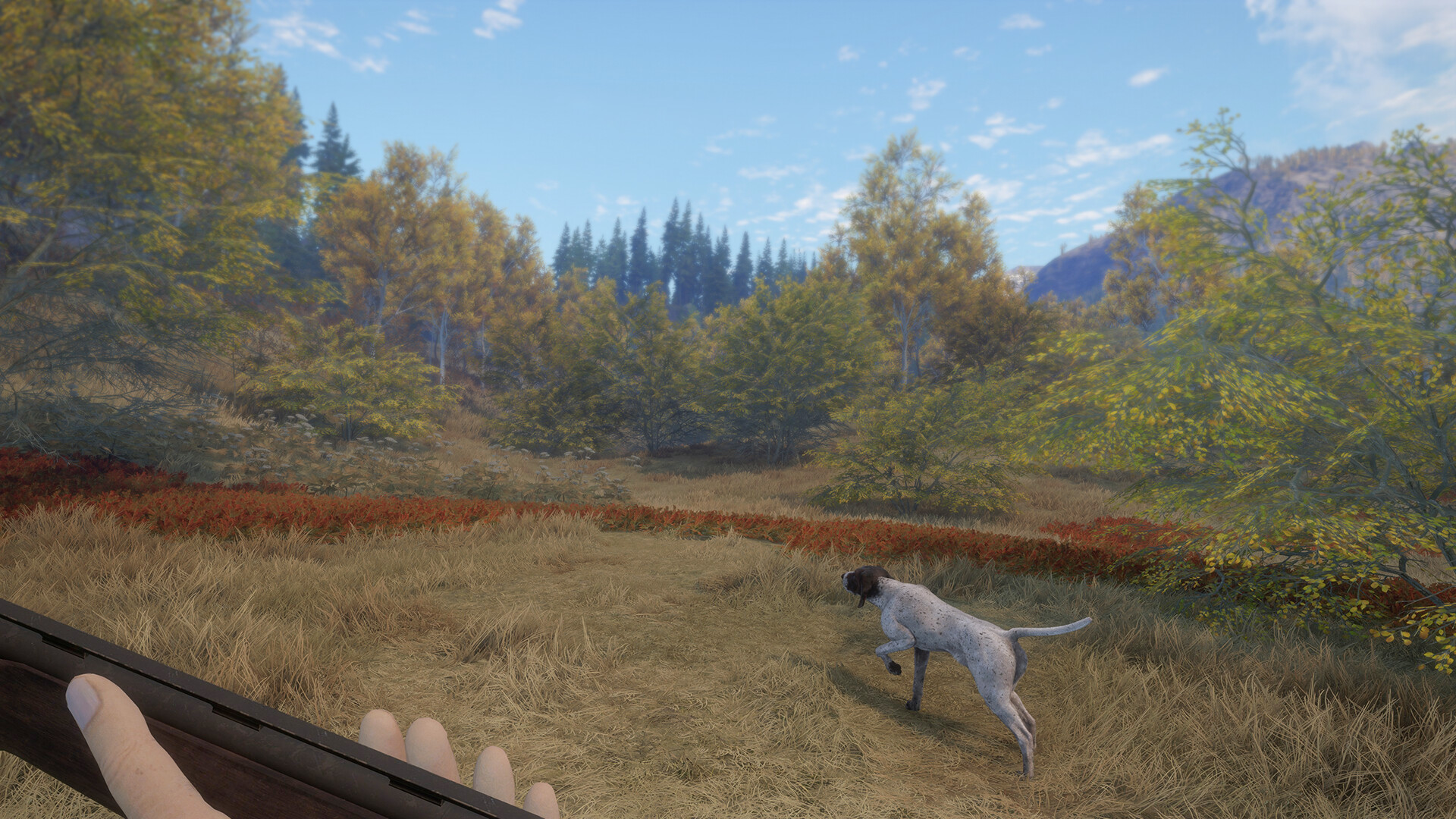 theHunter: Call of the Wild - German Shorthaired Pointer DLC PC Steam CD Key (valid until March, 2027)