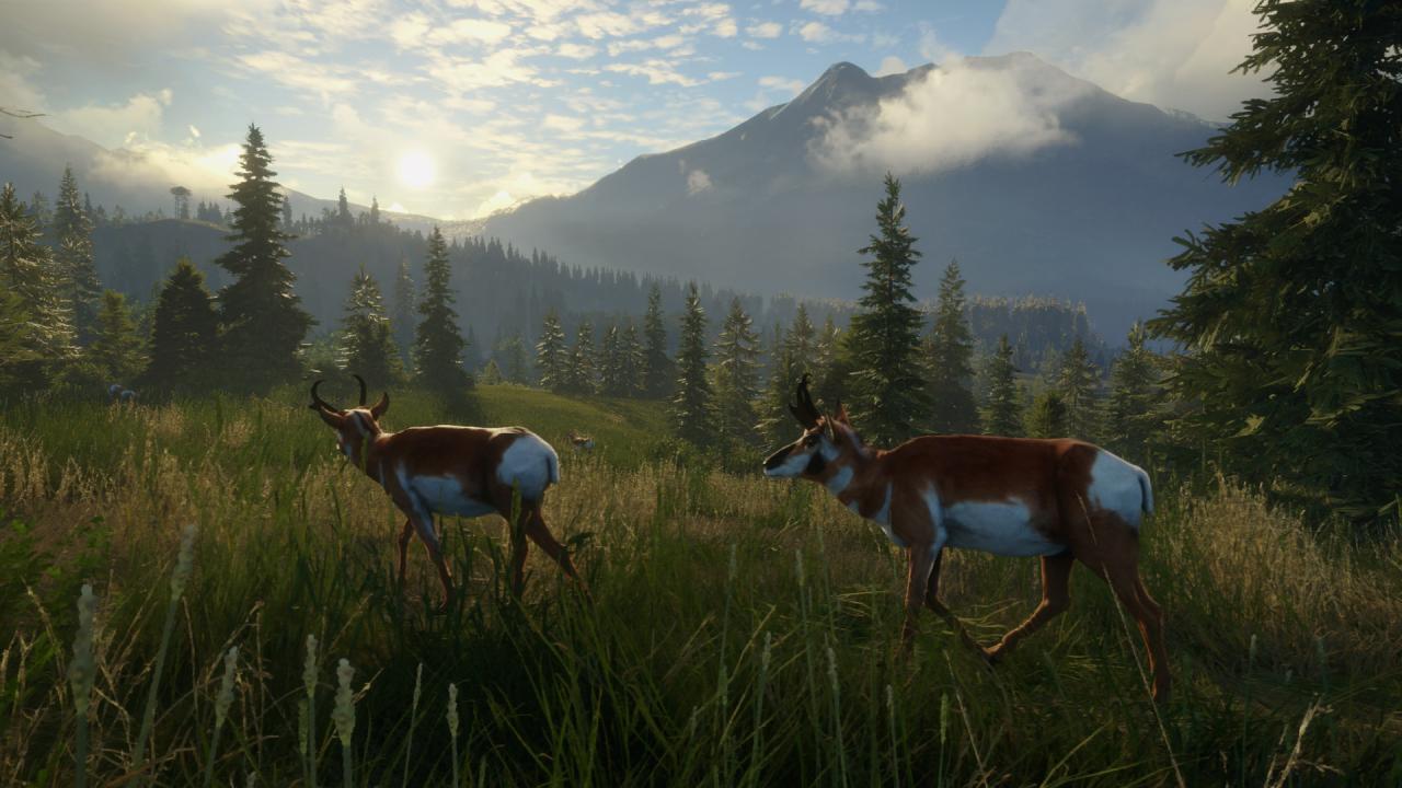 theHunter: Call of the Wild - Silver Ridge Peaks DLC PC Steam CD Key (valid until March, 2027)